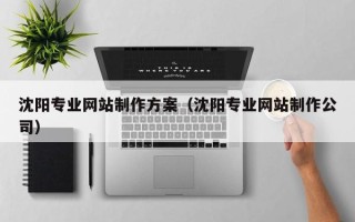 日喀则沈阳专业网站制作方案（沈阳专业网站制作公司）